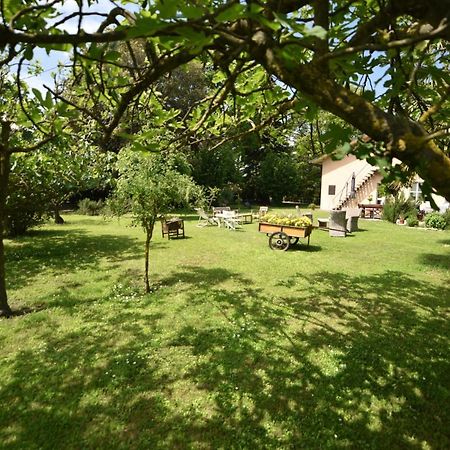 Capannone111 Bed & Breakfast Castiglione di Ravenna Ngoại thất bức ảnh