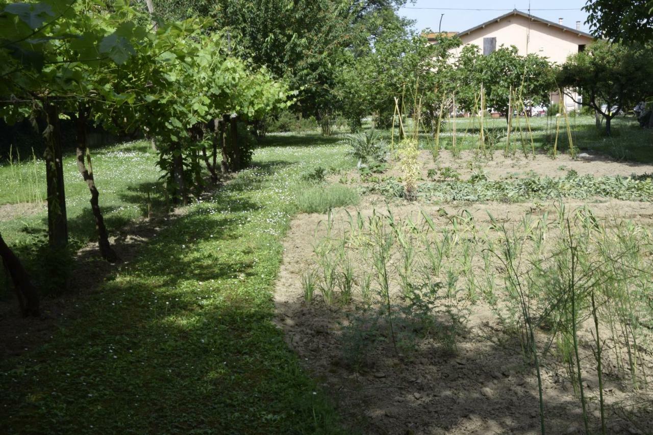 Capannone111 Bed & Breakfast Castiglione di Ravenna Ngoại thất bức ảnh